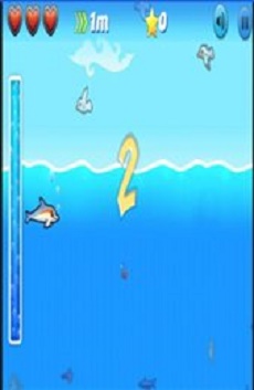 跳跃海豚大冒险正版下载安装