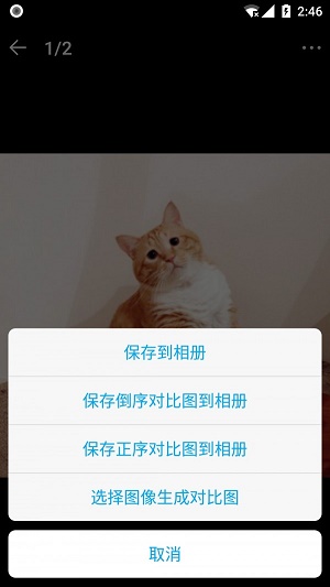 猫咪记账本正版下载安装